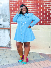 Show Stopper Denim Mini Dress