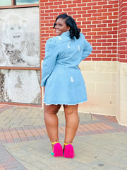 Show Stopper Denim Mini Dress