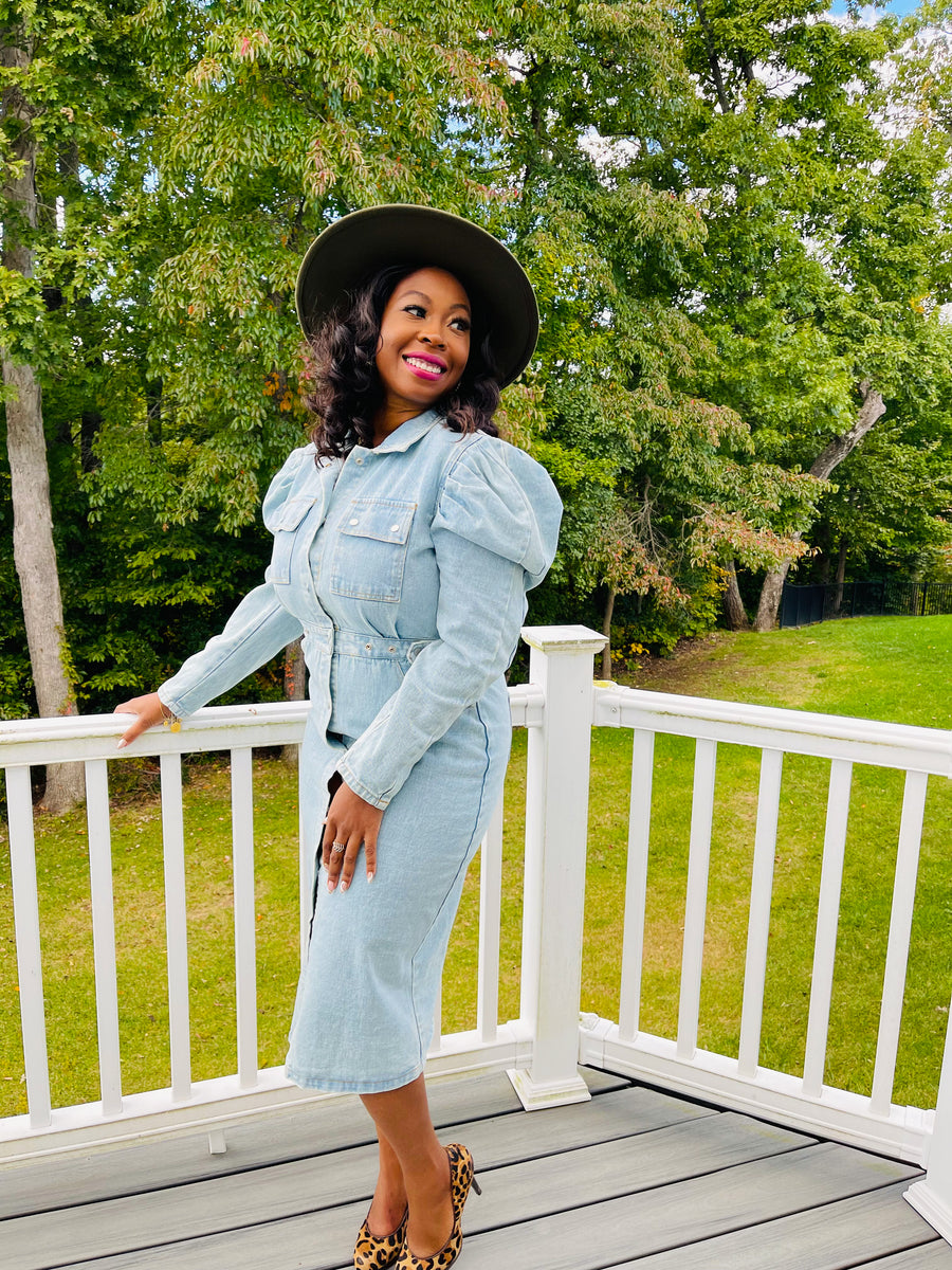 Love Her Daily | Denim Dress